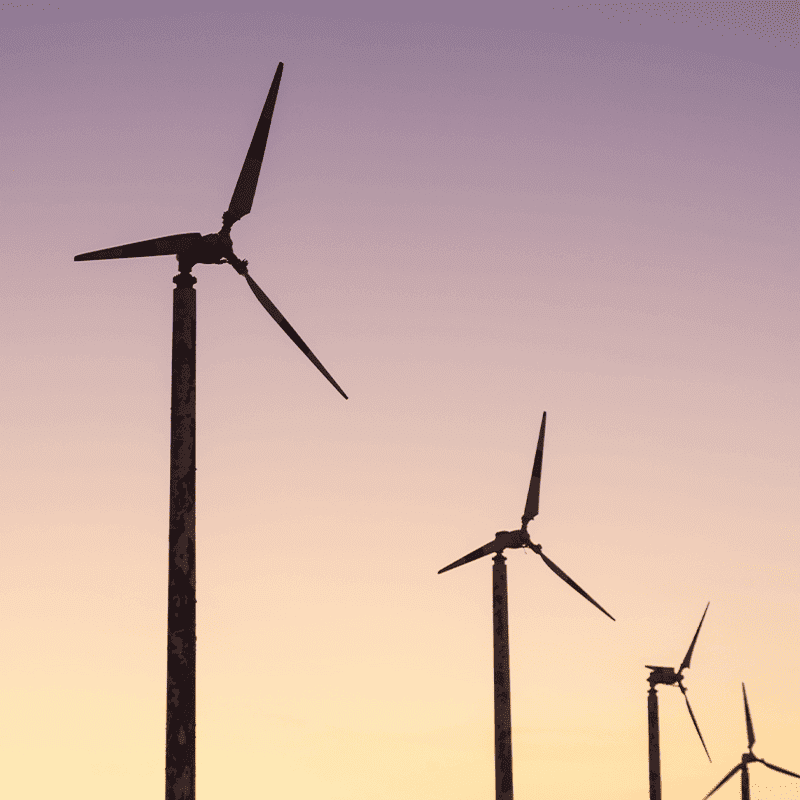 Lavorazione Copertina Tesi