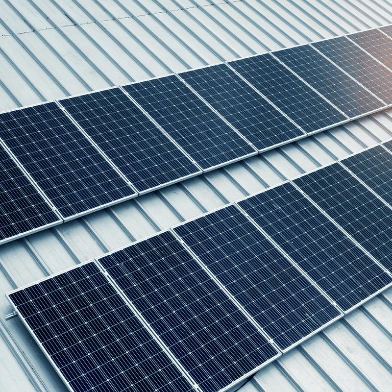 Lavorazione Copertina Tesi