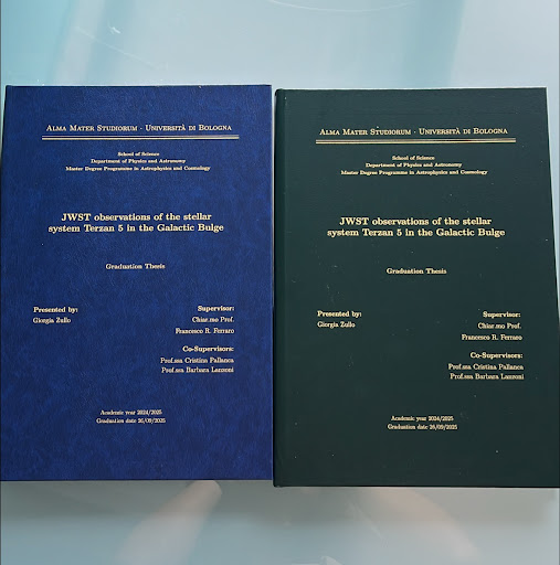 Tesi di Giorgia Zullo