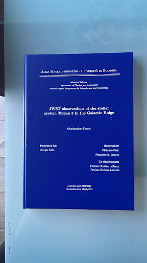 Tesi di Giorgia Zullo