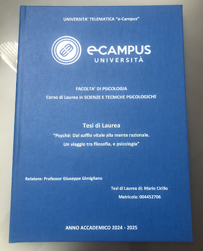 Tesi di mario cirillo