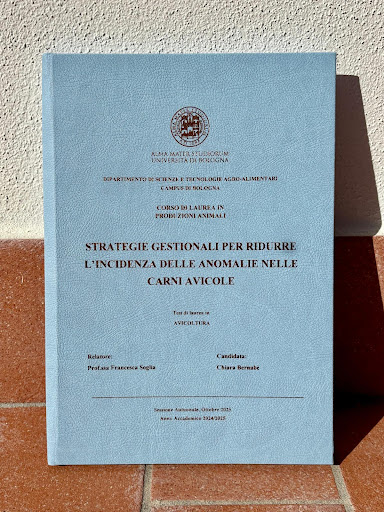 Tesi di Chiara Bernabè