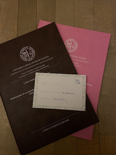 Tesi di Cassandra Crisci