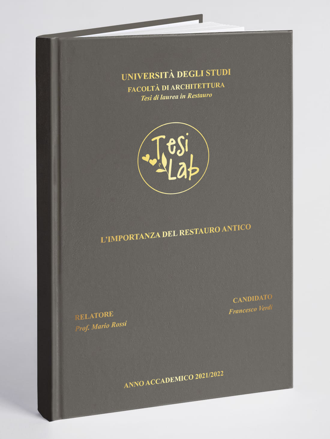 AppleSkin-GrigioPerla Come scegliere rilegatura della tesi